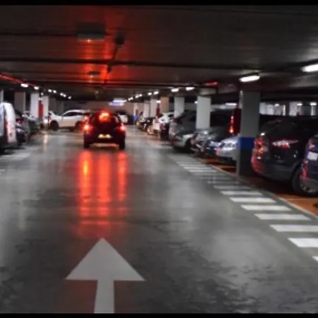 Atuairehome San Pablo Rozando El Museo De La Evolucion Con Parking Incluido Burgo